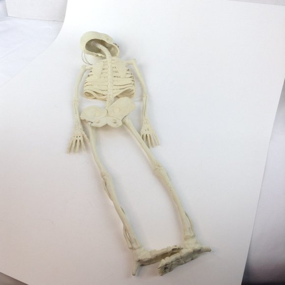 Vintage Halloween Hanging Skeleton 23" - Picture 5 of 13